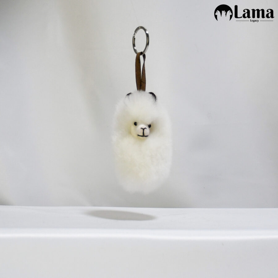 Jouets En Peluche D'alpaga De Couleur Arc-en-ciel Personnalisés Pour Enfants Cad